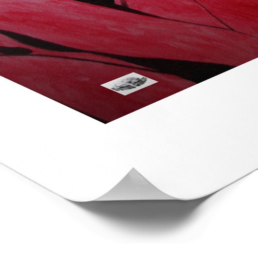 Hot Passion Poster (Hoek)