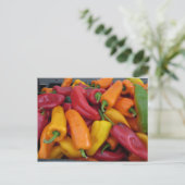 Hot Peppers Briefkaart (Staand voorkant)