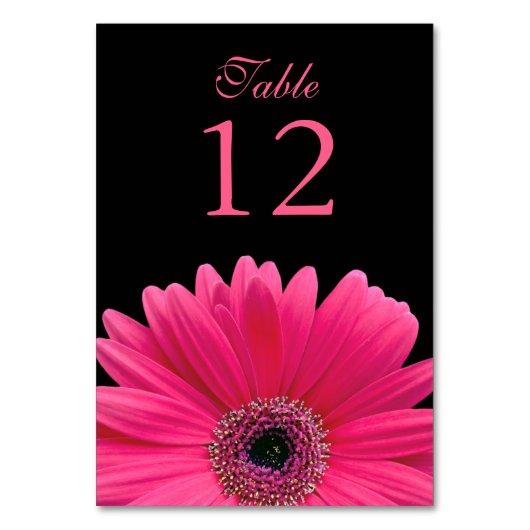Hot Pink Black Gerber Daisy Wedding Kaart (Voorkant)