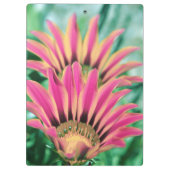 Hot Pink Daisy Klembord (Achterkant)