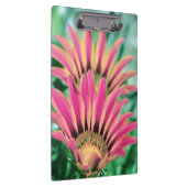 Hot Pink Daisy Klembord (Rechts)