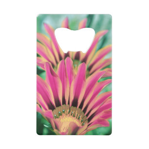 Hot Pink Daisy Kredietkaart Flessenopener