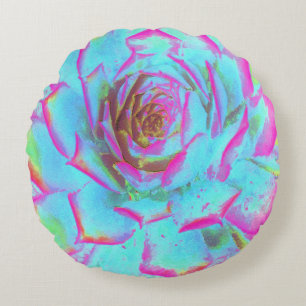 Hot Pink en Blue Succulent Sedum Rosette Rond Kussen