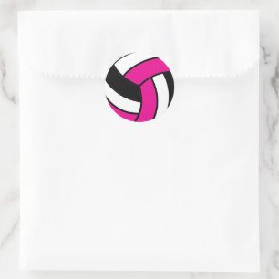 Hot Pink en White Volleyball Ronde Sticker