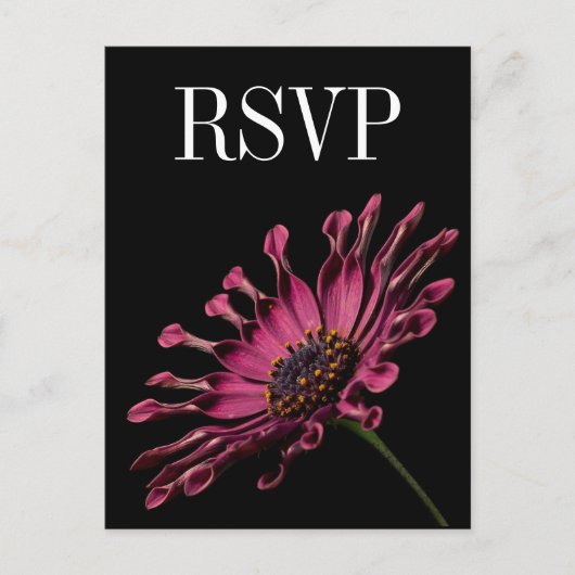 Hot Pink Fuchsia Daisy Wedding RSVP Briefkaart (Voorkant)