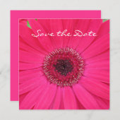 Hot Pink Gerbera Daisy Save the Date Invitation (Voorkant / Achterkant)