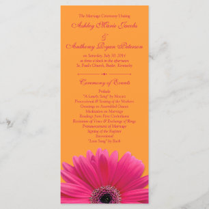 Hot Pink Gerbera Daisy Sinaasappel huwelijksprogra Programma