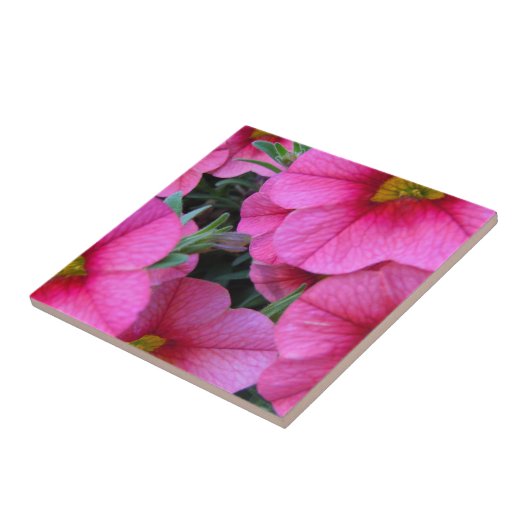 Hot Pink Million Bells Tegeltje (Zijkant)