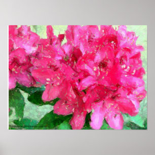 Hot Pink Rhododendron Eekje Abstract Poster