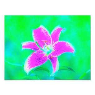 Hot Pink Stargazer Lily op Turquoise en Green Foto Afdruk