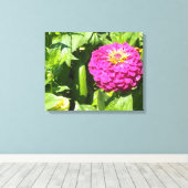 Hot Pink Zinnia Canvas Afdruk (Insitu (Houten vloer))