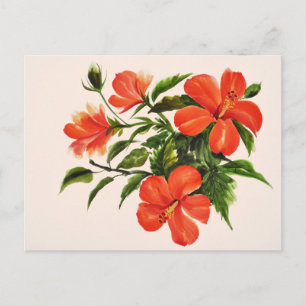 Hot Red Hibiscus Briefkaart