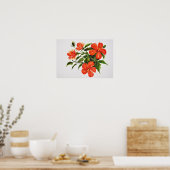 Hot Red Hibiscus Poster (Keuken)