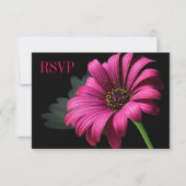 Hot rose Fuchsia Gerber Daisy Mariage Fleur RSVP (Dos)