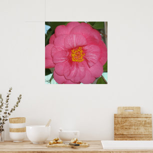 Hot-Roze Camellia die op een boom groeit, Poster