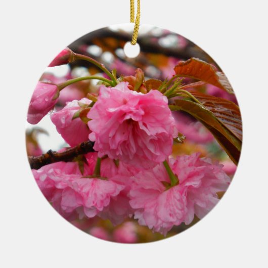 Hot-roze Cherry Blossom Flowers Keramisch Ornament (Voorkant)