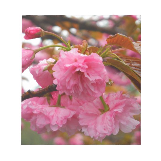 Hot-roze Cherry Blossom Flowers Notitieblok (Voorkant)