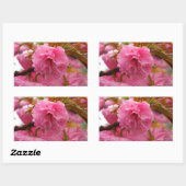 Hot-roze Cherry Blossom Flowers Rechthoekige Sticker (Vel)