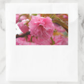 Hot-roze Cherry Blossom Flowers Rechthoekige Sticker (Tas)