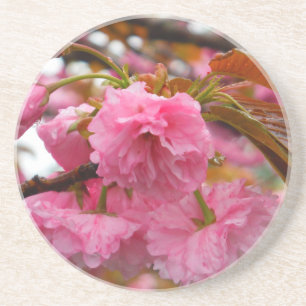 Hot-roze Cherry Blossom Flowers Zandsteen Onderzetter