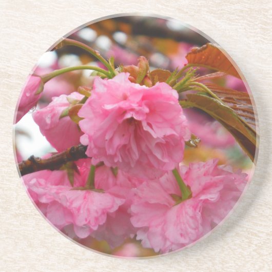 Hot-roze Cherry Blossom Flowers Zandsteen Onderzetter (Voorkant)