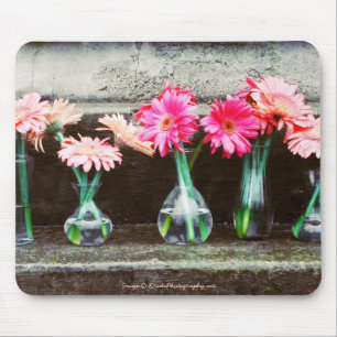 Hot-roze Daisies in Vases Muismat