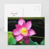 Hot-roze Lotus Flower Briefkaart (Voorkant / Achterkant)