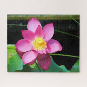 Hot roze Lotus Legpuzzel