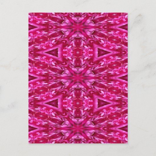 Hot-roze Roos Briefkaart (Voorkant)