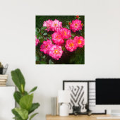 Hot-roze Roos Poster (Thuiskantoor)