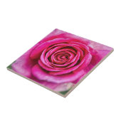 Hot-roze Roos Tegeltje (Zijkant)