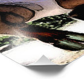 Hot Satyr in Briefs Photo Print (Coin)