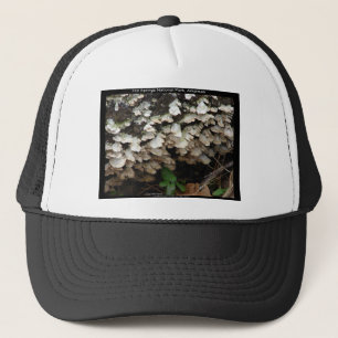 Hot Spings National Park, Arkansas Tree Fungus Trucker Pet