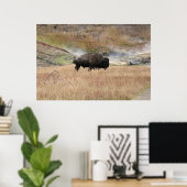 Hot Spring Bison Poster (Thuiskantoor)