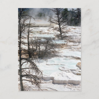 Hot Springs in Nieuw-Zeeland Briefkaart