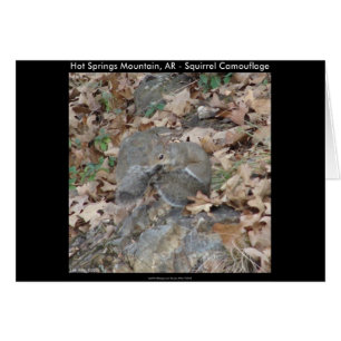 Hot Springs Mountain, AR Squirrel Cadeaux Camoufla