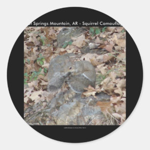 Hot Springs Mountain, AR Squirrel Camouflage Gifts Ronde Sticker