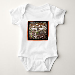 Hot Springs Mountain, Arkansas Chipmunk Gifts Romper