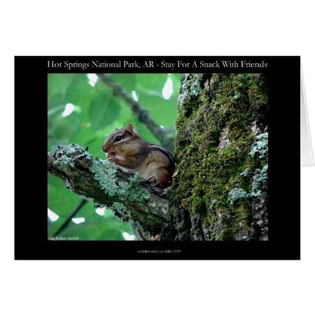Hot Springs National Park, AR Chipmunk Snack Gifts (Devant horizontal)
