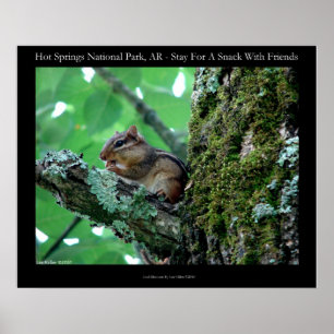 Hot Springs National Park, AR Chipmunk Snack Poster