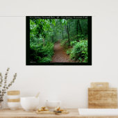 Hot Springs National Park, AR Fading Fog Posters (Cuisine)