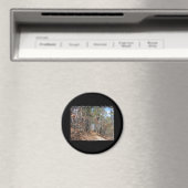 Hot Springs National Park, AR Goat Rock Trail Magneet (Insitu (Vaatwasser))