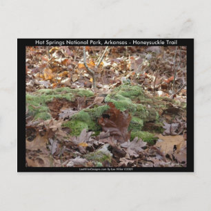 Hot Springs National Park, AR - Kamperfoelie Trail Briefkaart