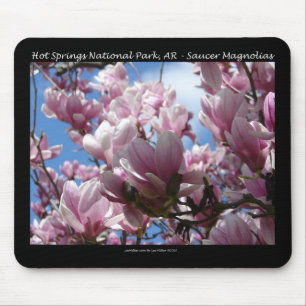 Hot Springs National Park AR Saucer Magnoia Gifts Muismat
