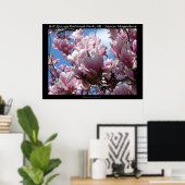 Hot Springs National Park AR Saucer Magnoia Poster (Bureau à domicile)