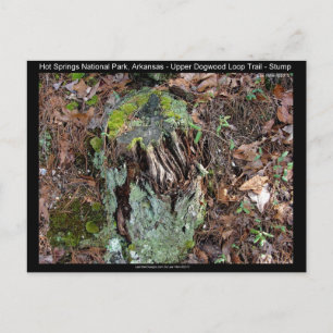 Hot Springs National Park, AR Upper Dogwood Loop Briefkaart