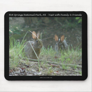 Hot Springs National Park, AR  Wild Rabbits Gesche Muismat