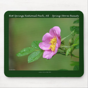 Hot Springs National Park, AR  Wild Rose Gifts Muismat
