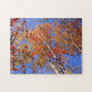 Hot Springs National Park Herfstbladeren Puzzel