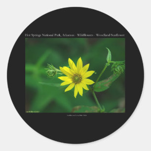 Hot Springs National Park Woodland Sunflower Gifts Ronde Sticker